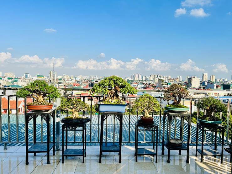 “Choáng” với vườn cây tiền tỷ trên sân thượng của chàng trai Hà Nội