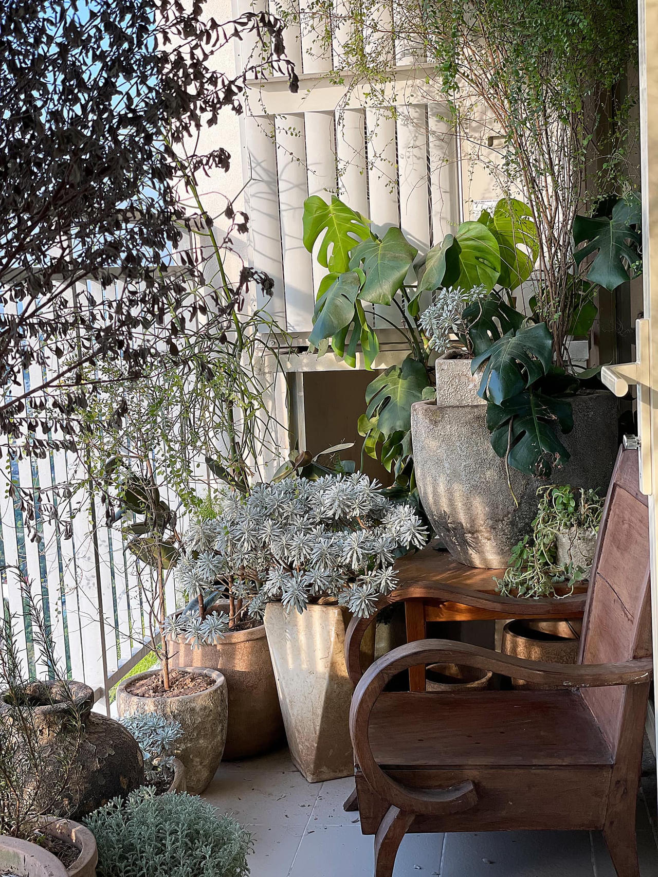 Căn hộ mang phong cách wabisabi mộc mạc, đậm chất thiền tịnh