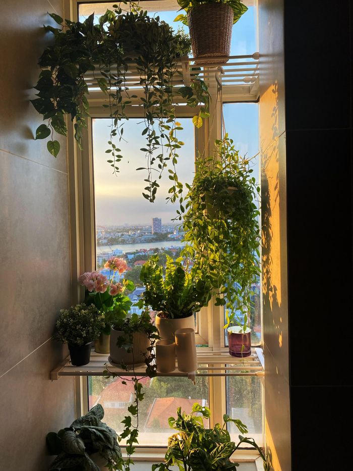 Xây nhà cho người hướng nội, kiến trúc sư gợi ý: Khu vực làm việc cần nhiều sinh khí, đủ ánh sáng