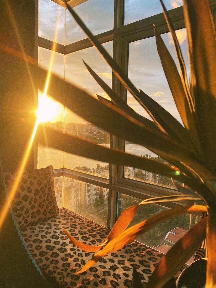 Xây nhà cho người hướng nội, kiến trúc sư gợi ý: Khu vực làm việc cần nhiều sinh khí, đủ ánh sáng