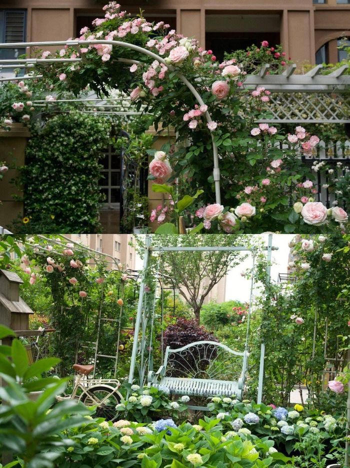 Mãn nhãn trước khu vườn 4 mùa hoa nở, cây cối tươi tốt quanh năm của cô gái 9x