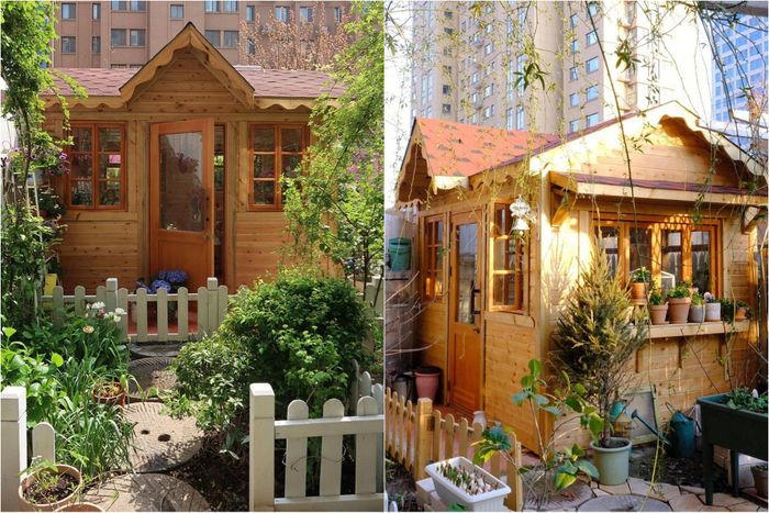 Mãn nhãn trước khu vườn 4 mùa hoa nở, cây cối tươi tốt quanh năm của cô gái 9x