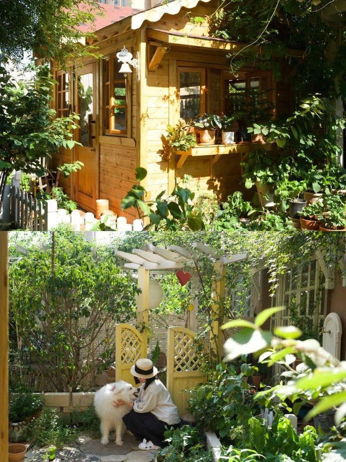 Mãn nhãn trước khu vườn 4 mùa hoa nở, cây cối tươi tốt quanh năm của cô gái 9x