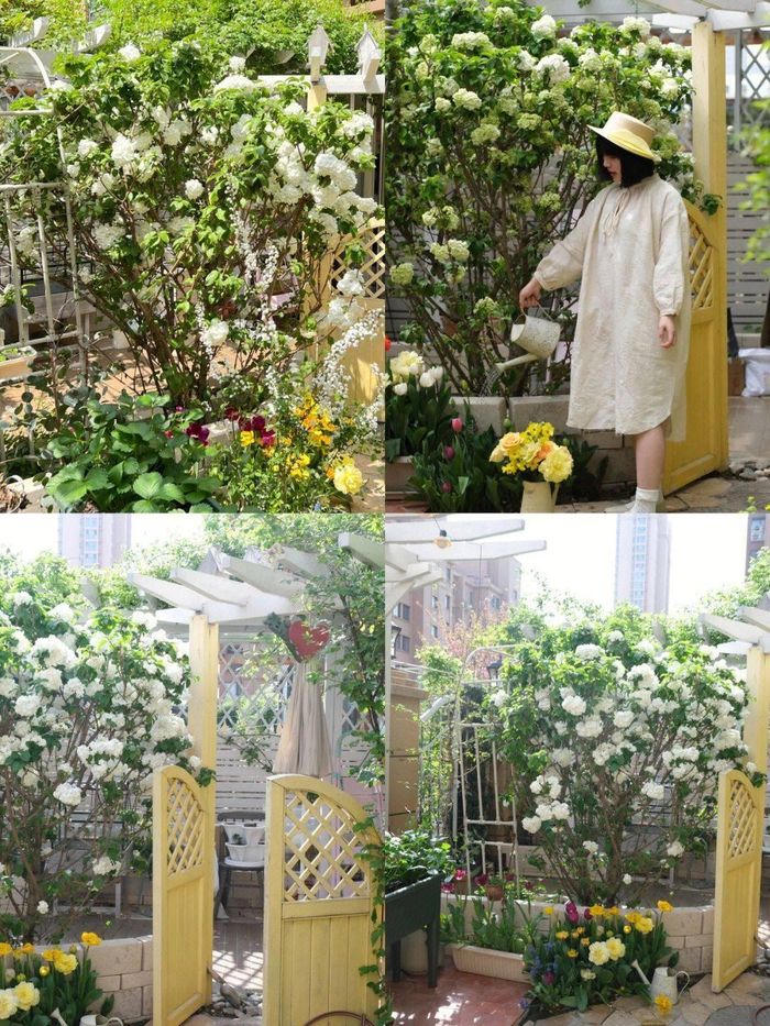 Mãn nhãn trước khu vườn 4 mùa hoa nở, cây cối tươi tốt quanh năm của cô gái 9x