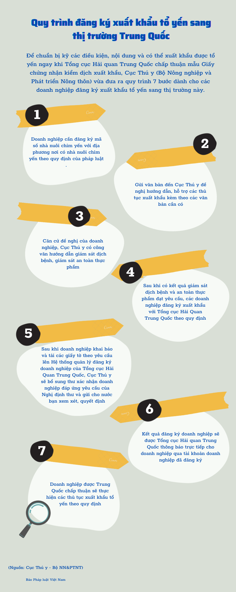 Quy trình đăng ký xuất khẩu tổ yến sang thị trường Trung Quốc