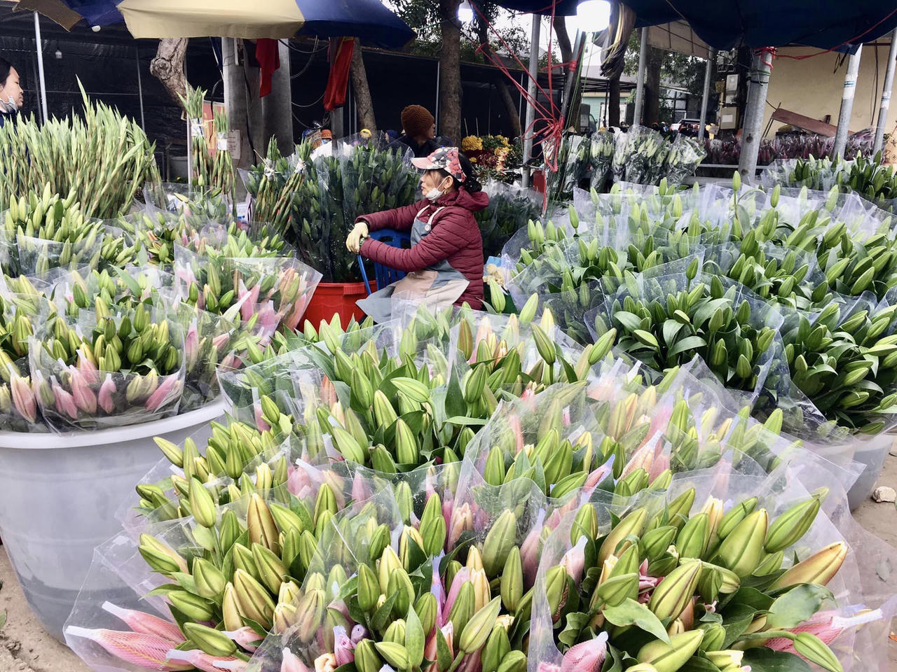  'Thủ phủ' hoa đầu mối lớn nhất miền Bắc tấp nập ngày 27 Tết