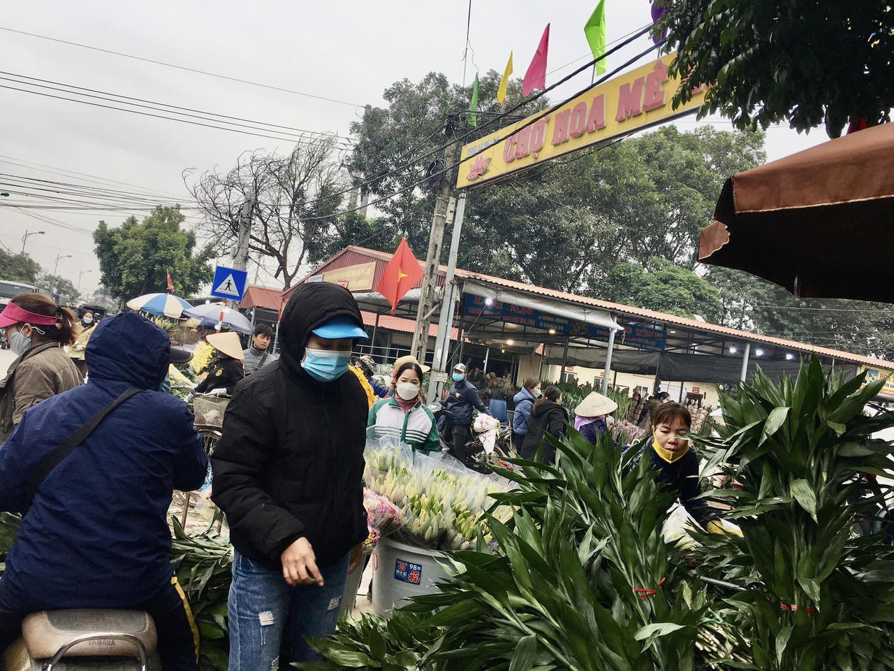  'Thủ phủ' hoa đầu mối lớn nhất miền Bắc tấp nập ngày 27 Tết