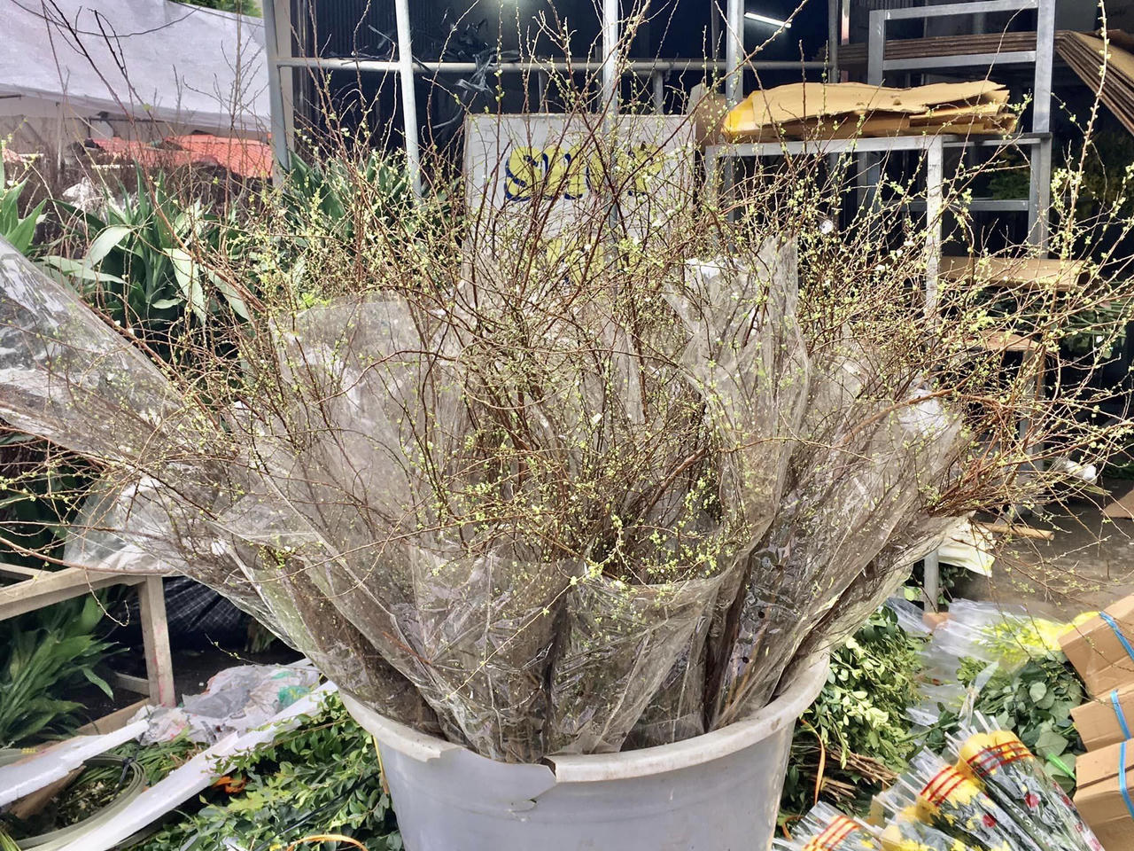  'Thủ phủ' hoa đầu mối lớn nhất miền Bắc tấp nập ngày 27 Tết