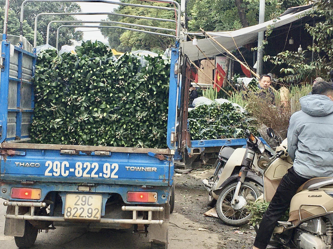  'Thủ phủ' hoa đầu mối lớn nhất miền Bắc tấp nập ngày 27 Tết