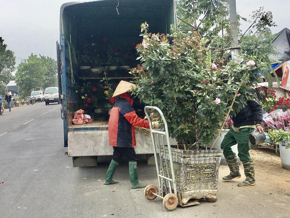  'Thủ phủ' hoa đầu mối lớn nhất miền Bắc tấp nập ngày 27 Tết