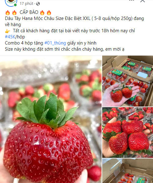 Dâu tây “nhuộm sắc đỏ” trên mạng xã hội, giá rẻ chưa từng có