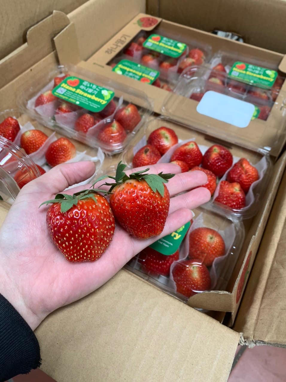 Dâu tây “nhuộm sắc đỏ” trên mạng xã hội, giá rẻ chưa từng có