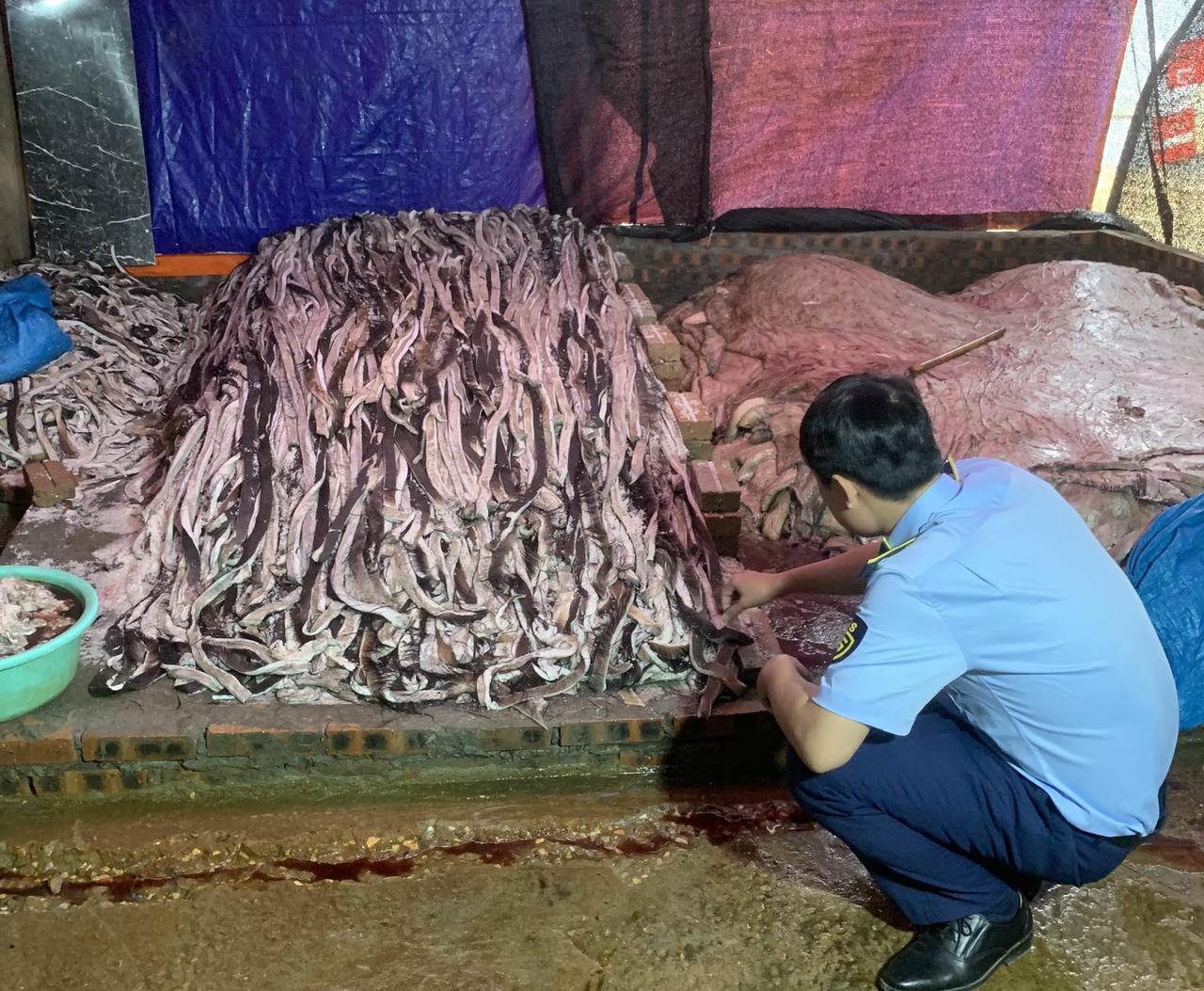 Liên tiếp phát hiện hàng chục tấn thịt và da trâu tươi bốc mùi chuẩn bị 'tuồn' ra thị trường