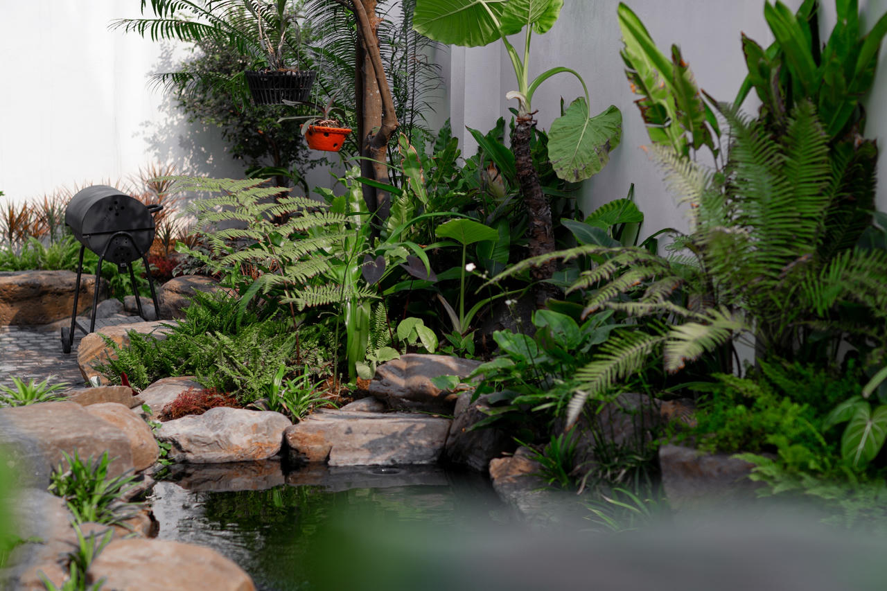 Ấn tượng không gian "nhà vườn trong phố" giữa lòng Hà Nội