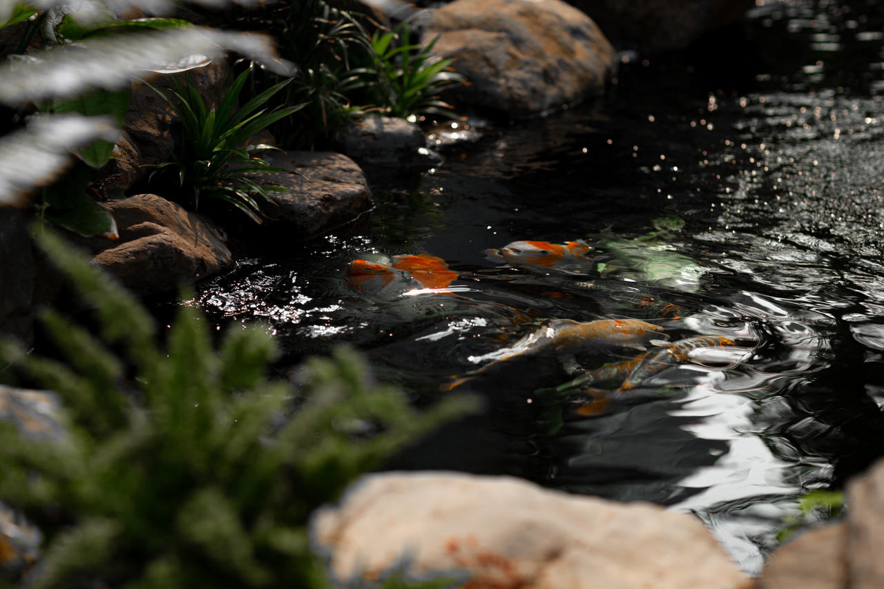 Ấn tượng không gian "nhà vườn trong phố" giữa lòng Hà Nội