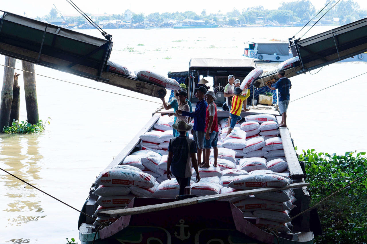 Sự lựa chọn thông minh cho đàn cá khỏe