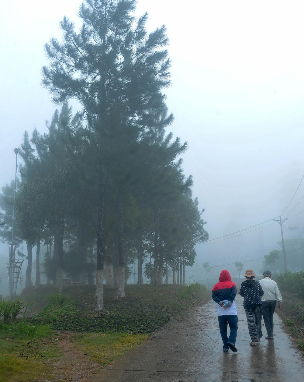 Chợ Mây - phiêu lưu ký