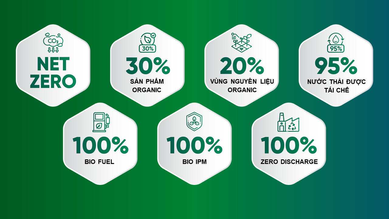 Giải mã sức hút của cổ phiếu SBT đối với nhà đầu tư ngoại