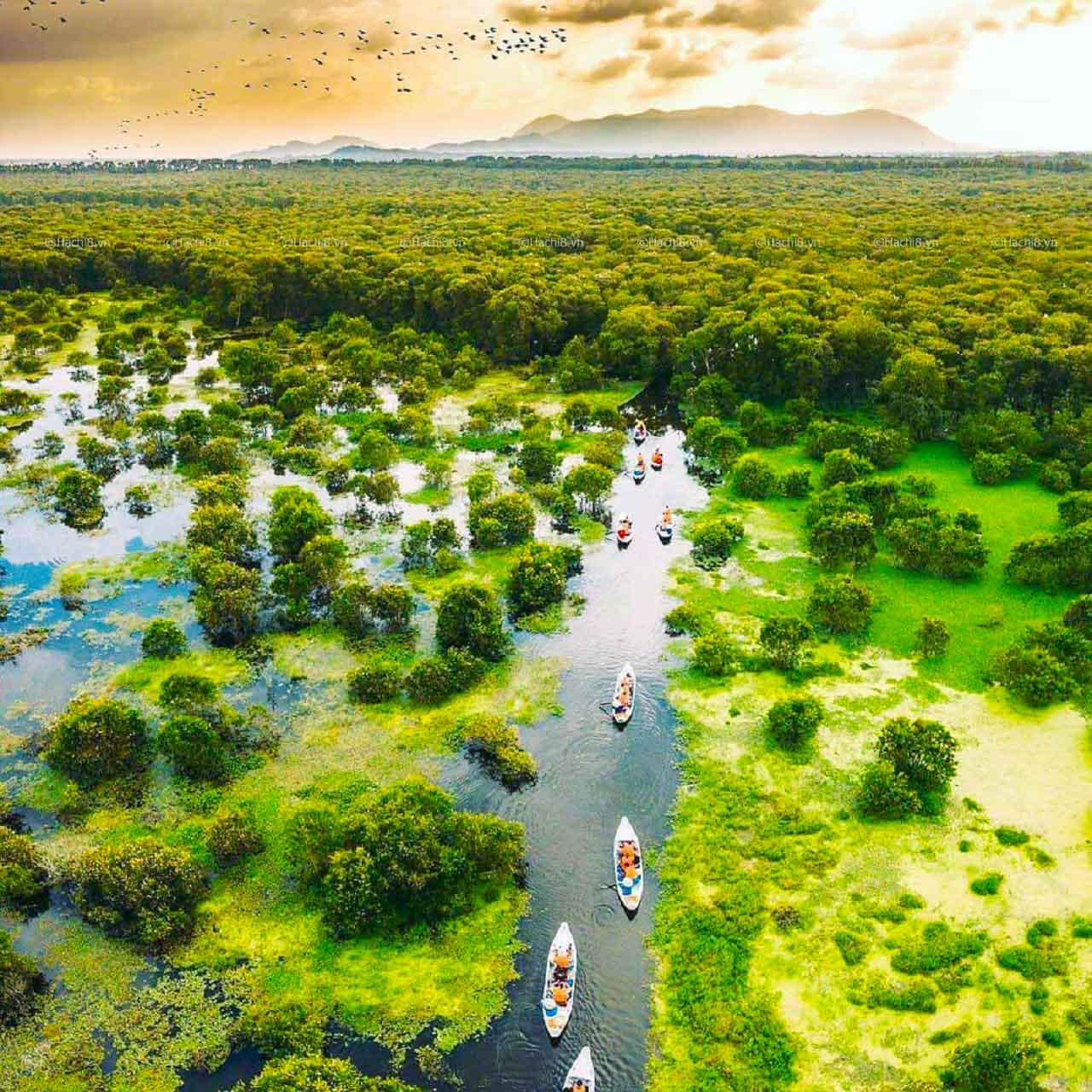 Trà Sư độc đáo với không gian xanh 'Matcha'