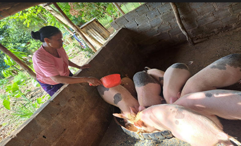 Nữ tổ trưởng miệt mài 'gieo' vốn chính sách giữa đại ngàn