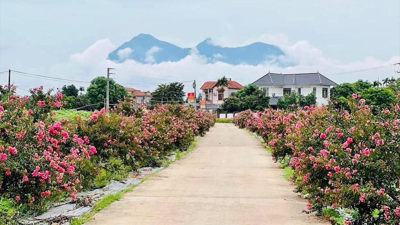 Huyện Ba Vì – Xây dựng Nông thôn mới thực sự là nơi đáng sống, đáng để quay về