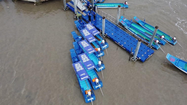 Đẩy mạnh Dự án 'Cánh rừng Net Zero', Vinamilk khoanh nuôi tái sinh 25ha rừng ngập mặn Cà Mau