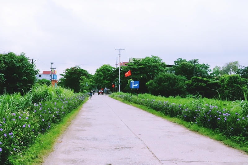 Xã Trần Phú (Hà Nội) dồn sức, quyết tâm về đích xây dựng nông thôn mới nâng cao