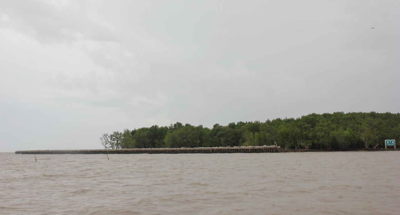 Giữ đất cho “Mũi thuyền” Cà Mau - Bài 4: Người dân đang mong chờ những quyết sách đặc biệt