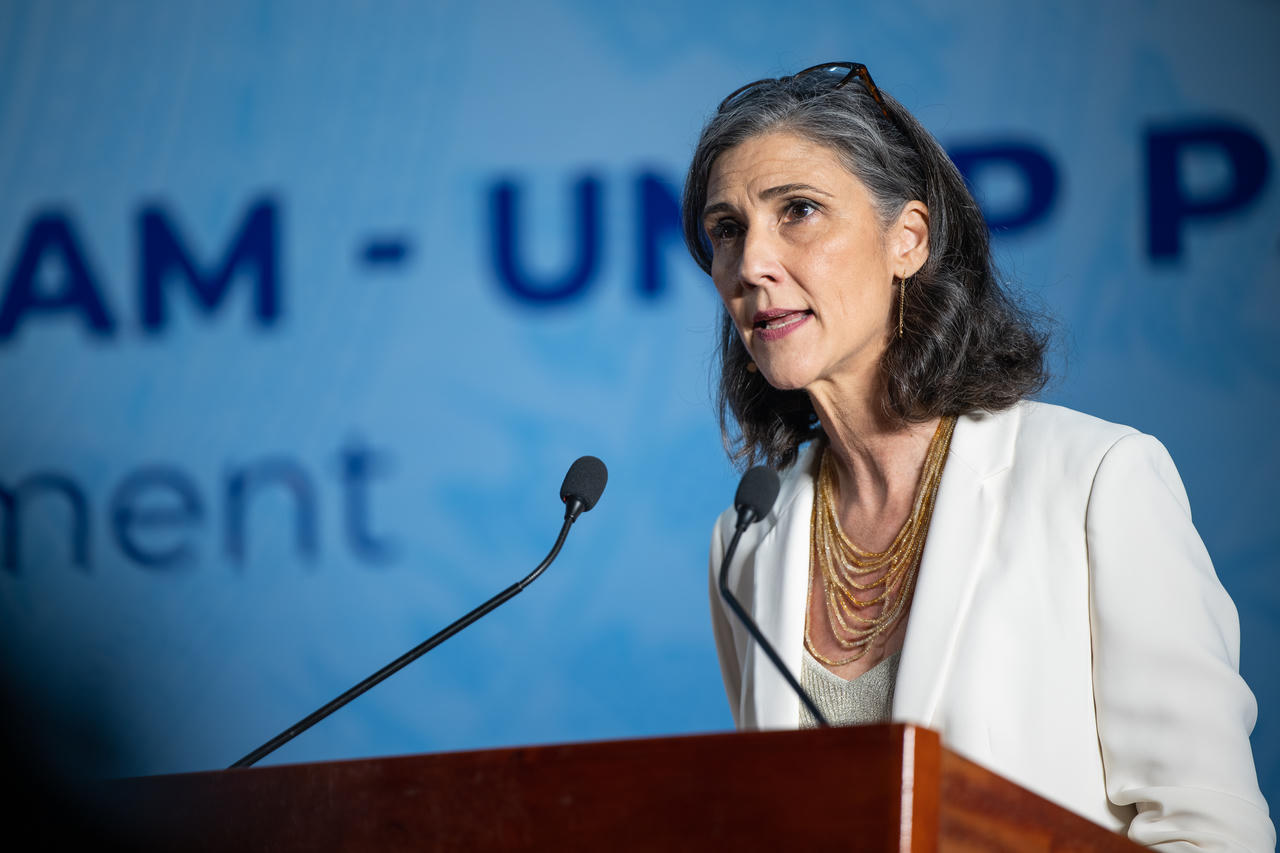 Bà Ramla Khalidi - Trưởng Đại diện Thường trú của Chương trình phát triển Liên Hợp quốc (UNDP) tại Việt Nam: JETP mang đến vị thế mới cho Việt Nam 