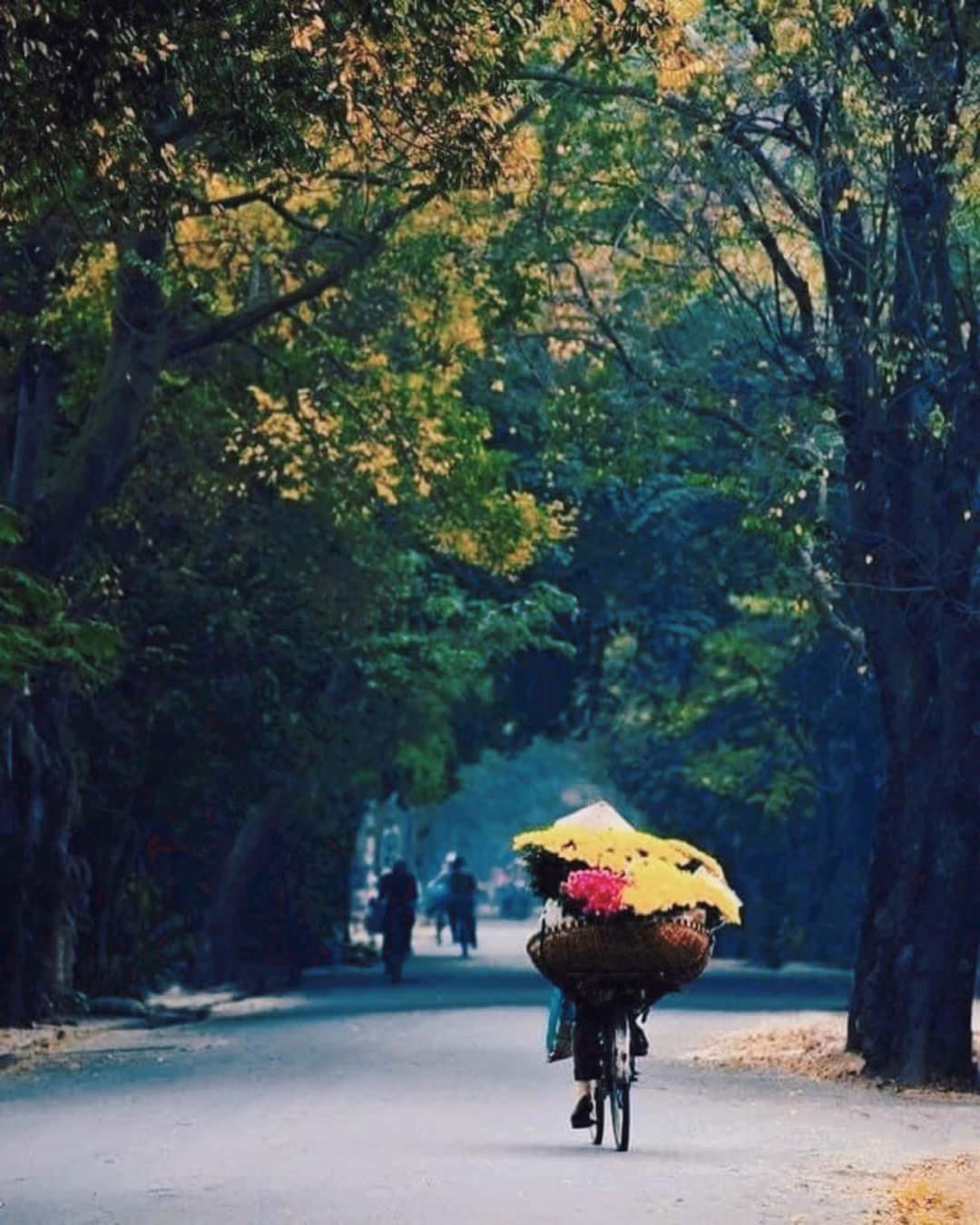 Có hẹn với gió heo may