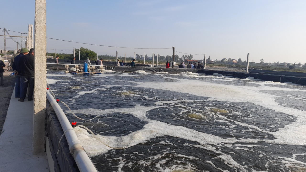 Hội Cựu chiến binh - 'Cầu nối' chuyển tải vốn chính sách