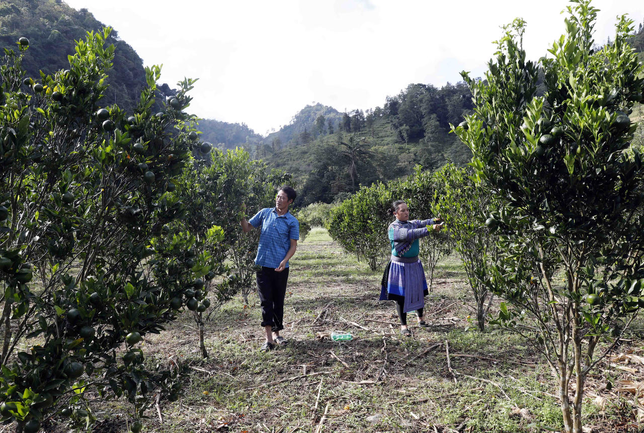 21 năm hành trình gieo niềm tin và khát vọng