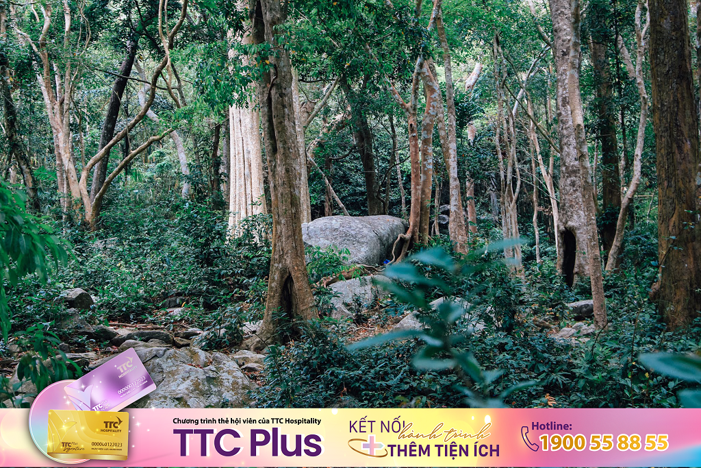 Xanh hóa du lịch để phát triển bền vững