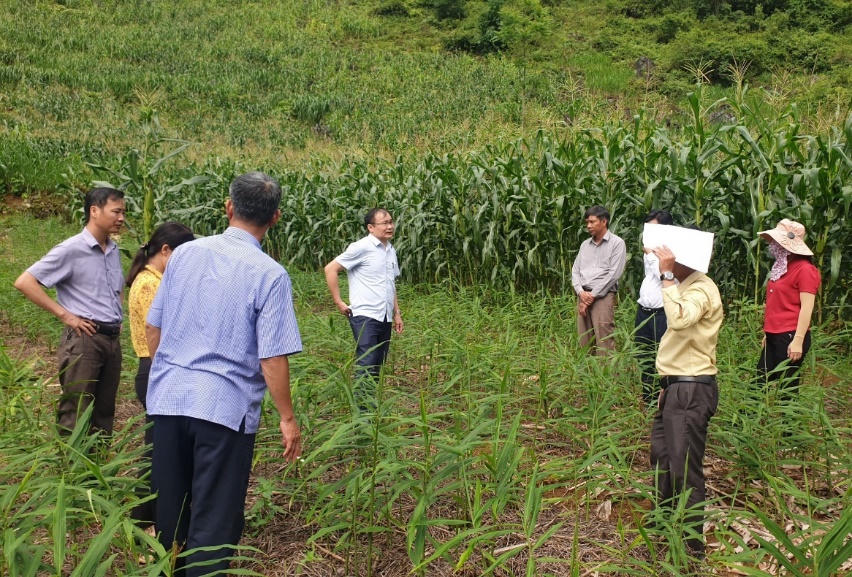 Khai phá tiềm năng nông nghiệp hữu cơ vùng núi phía Bắc - Bài 2: Lực đẩy từ hệ thống chính trị cơ sở