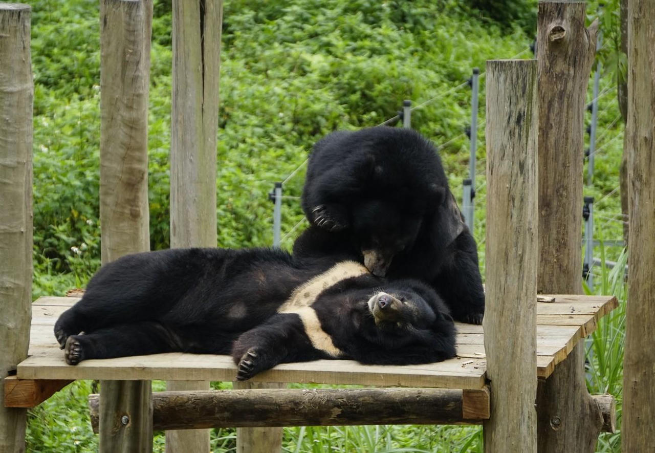 Cần thay đổi nhận thức về việc đối xử với động vật