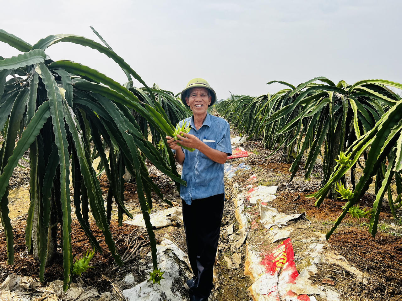 Niềm vui trên những miền quê “đáng sống”