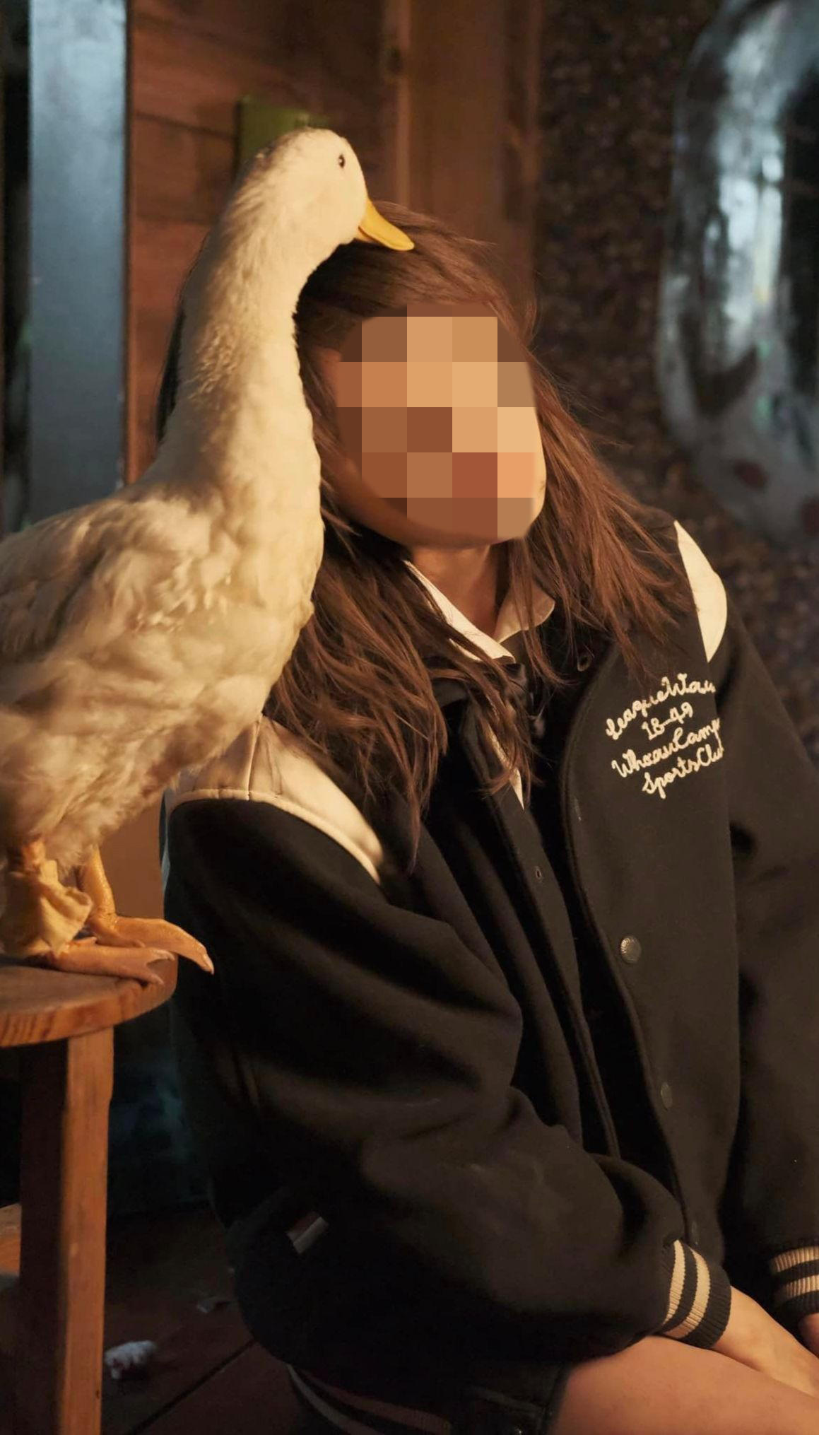 Những 'ngôi sao trong nháy'