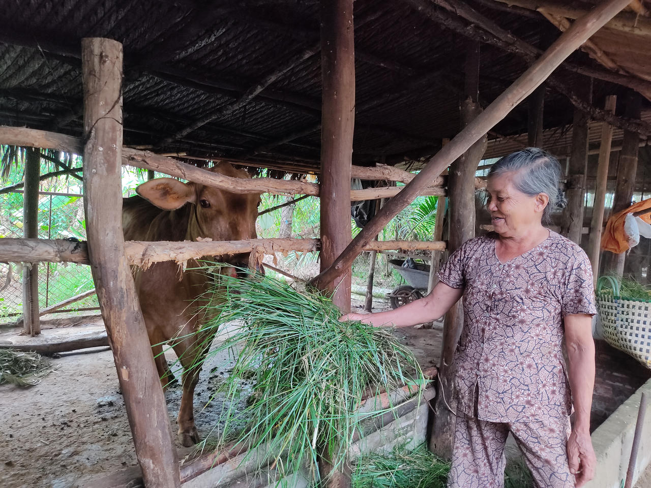 Trà Vinh: Phát huy hiệu quả nguồn vốn chính sách xã hội đến bà con nghèo vùng ven biển