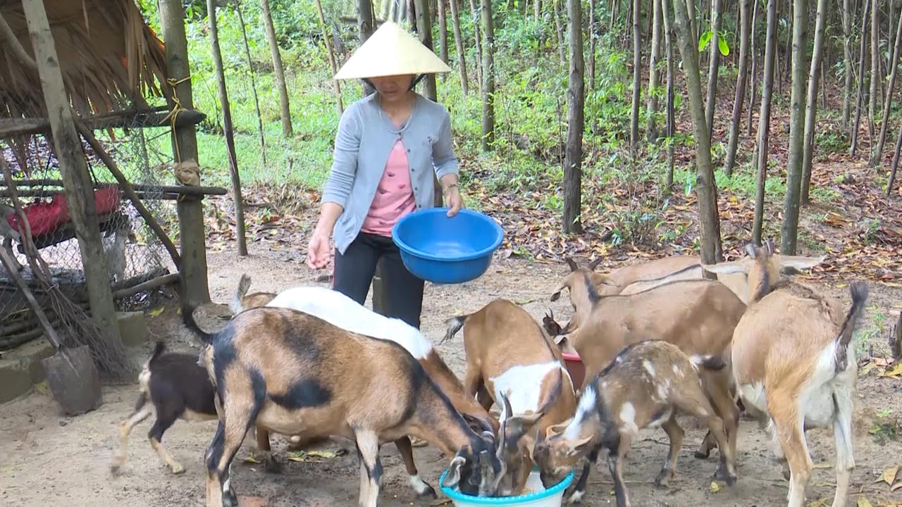 Huyện Minh Hóa (Quảng Bình): Đẩy mạnh giải ngân cho vay vốn chính sách