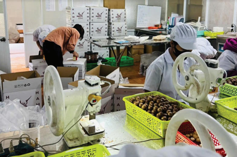 Doanh nghiệp Việt - một năm “vượt sóng cả”