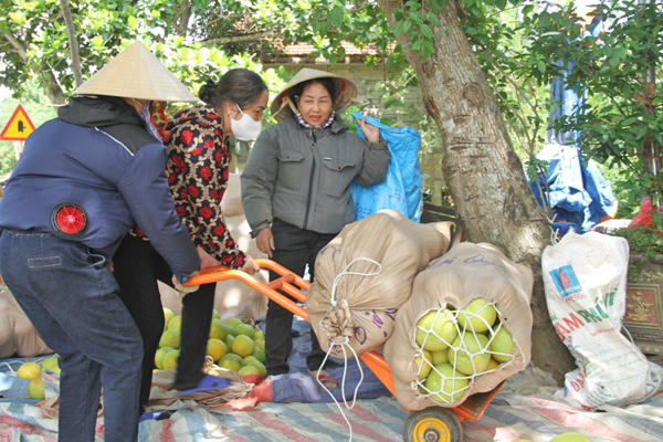 Quảng bá, nâng cao giá trị thương hiệu bưởi Phúc Trạch tại thị trường trong nước