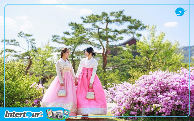 Tết cổ truyền: Về nhà hay du xuân?