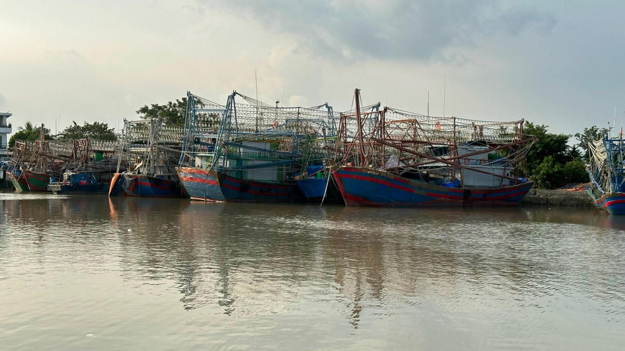 Cảng cá Mắt Rồng và thành phố mới không xa