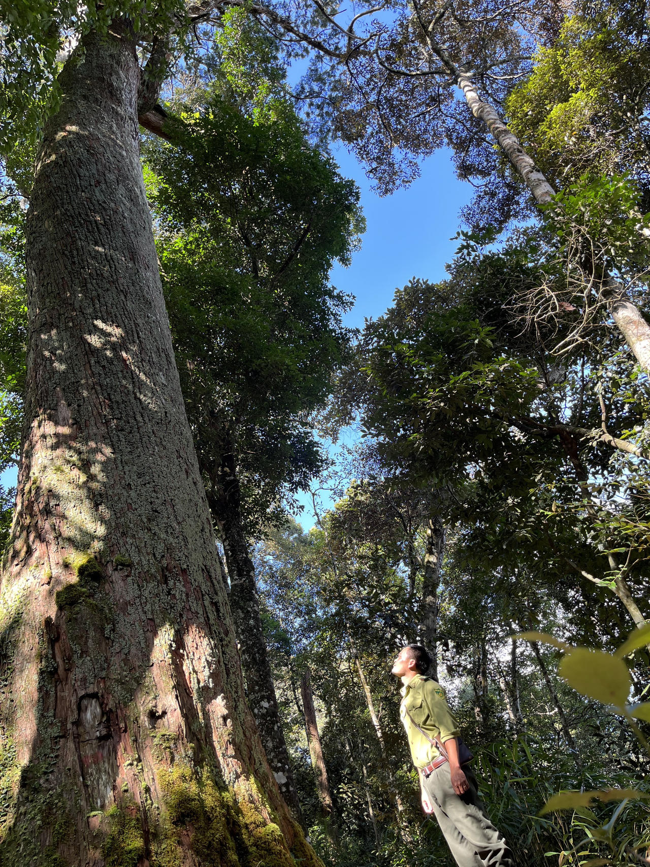 Bóng thời gian trên rừng Bát Mọt