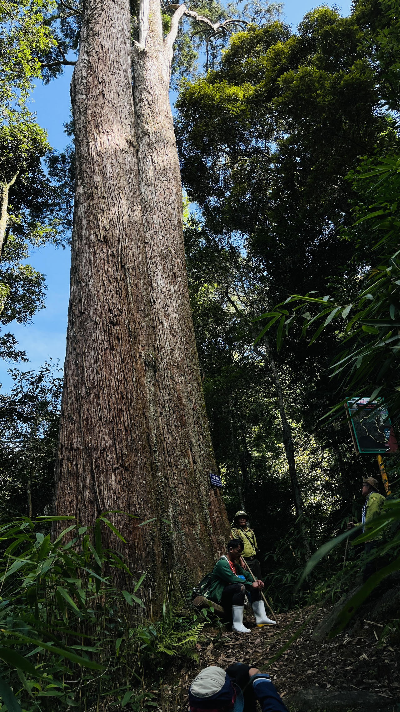 Bóng thời gian trên rừng Bát Mọt