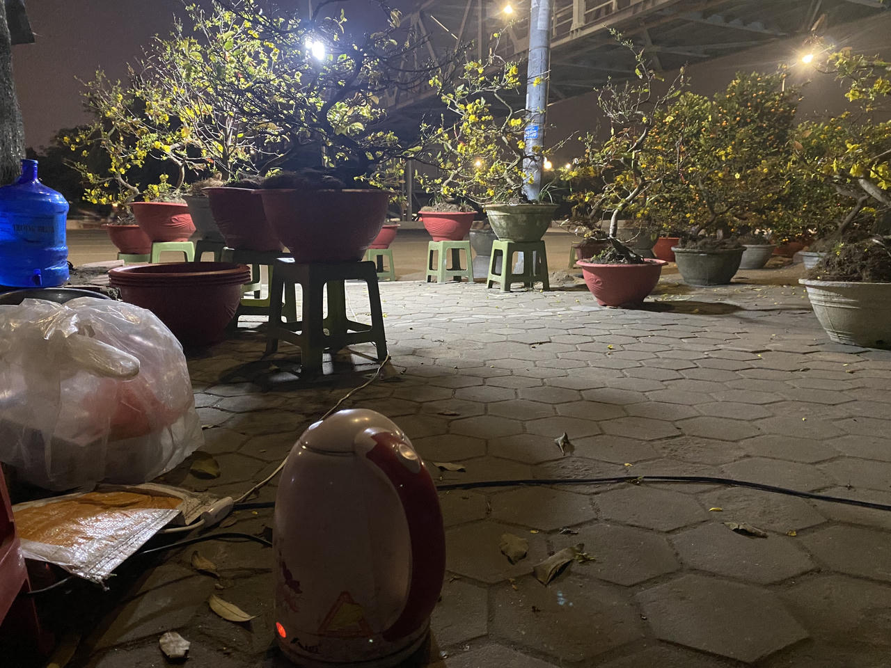 Nằm vỉa hè Hà Nội qua đêm mong bán hết đào, quất trước giao thừa