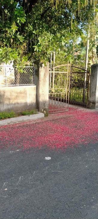 Tháng 3, bàn về hạnh phúc