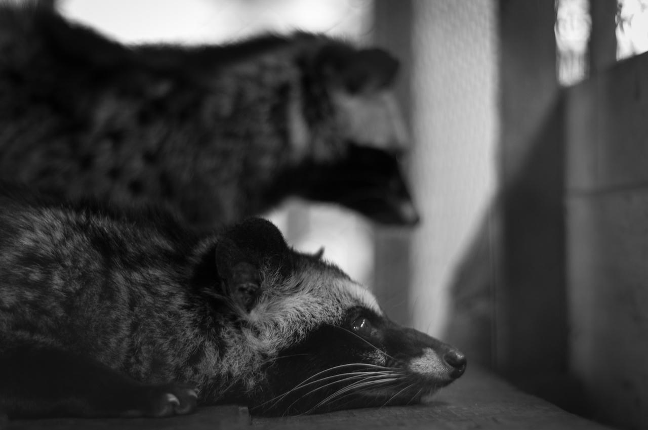 Thói quen xấu, hành động xấu tàn phá sức khỏe người Việt 