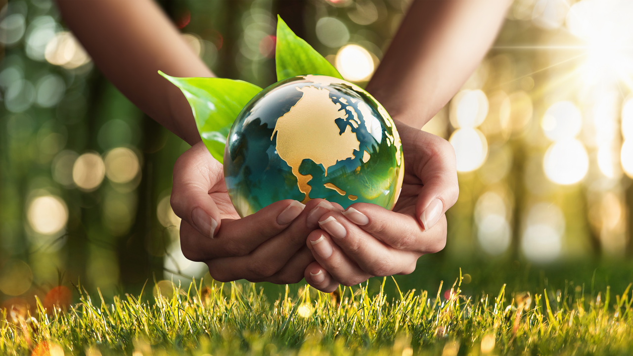 Tính hai mặt của quảng cáo: Tác động đến người tiêu dùng