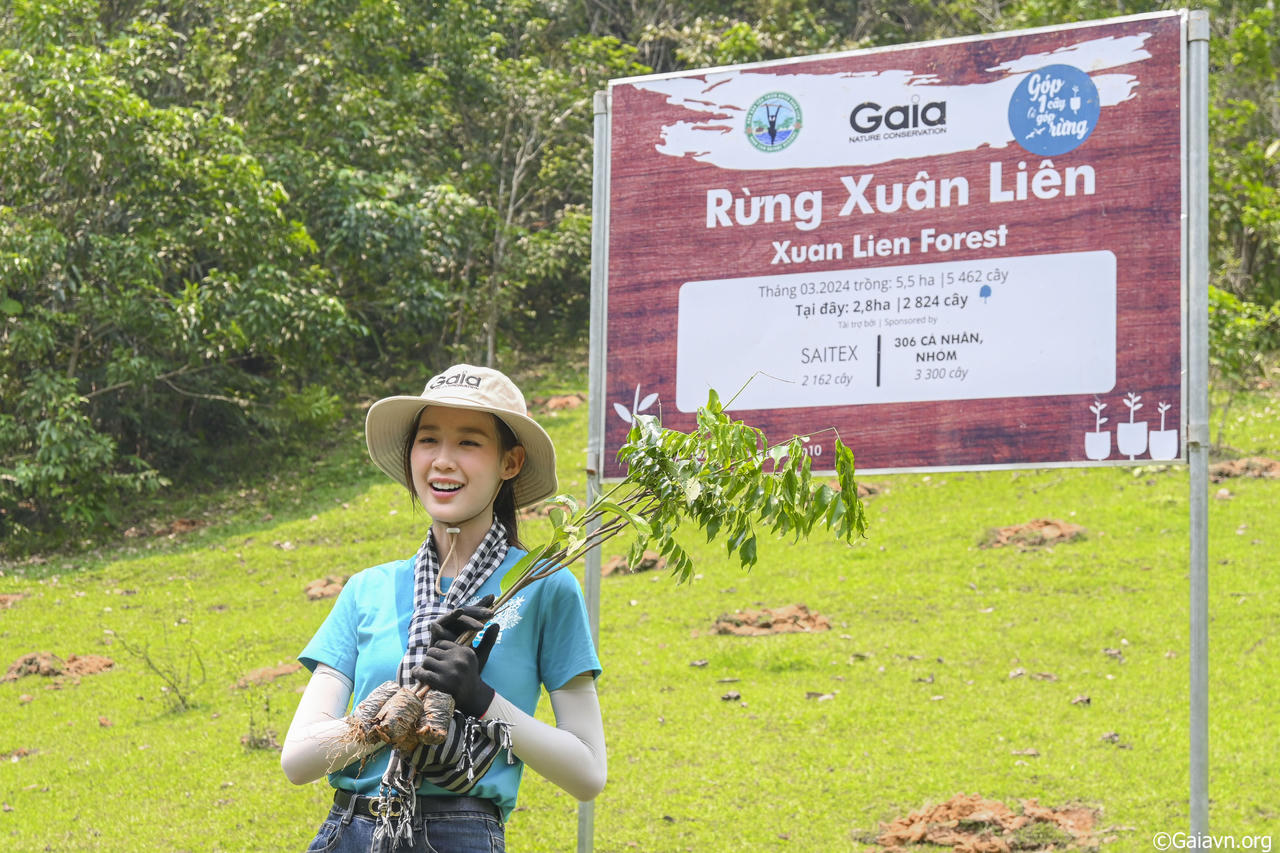 Đừng để rừng già trở thành điều “từng là”...